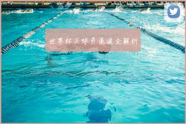 世界杯买球员渠道全解析