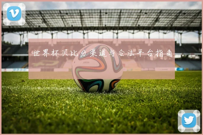 世界杯买比分渠道与合法平台指南